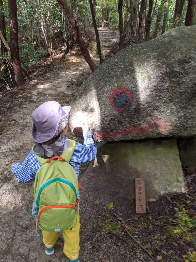 猿投山 蛙岩